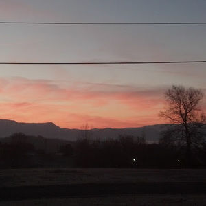 Meet your Posher, Loretta